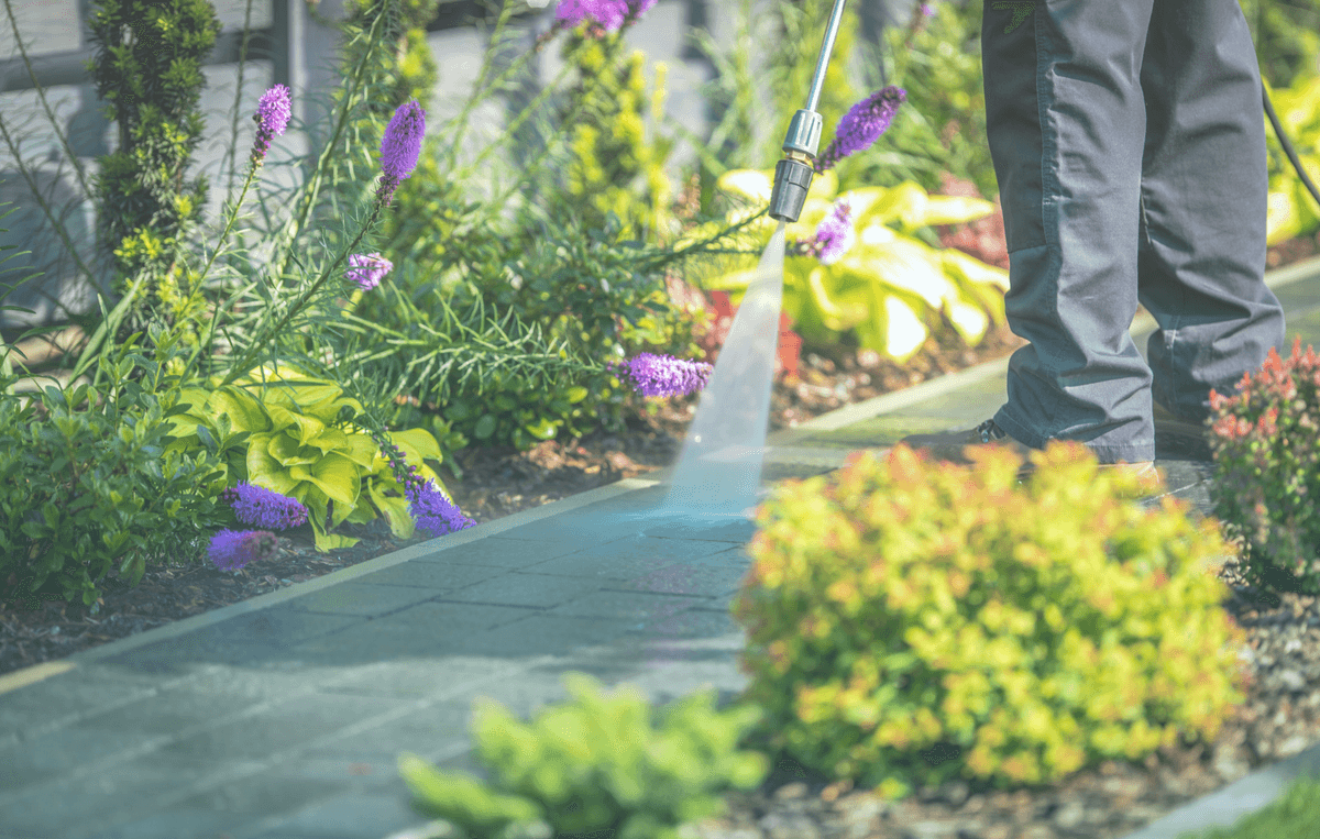 MG Solutions pressure cleaning experts in Seattle.